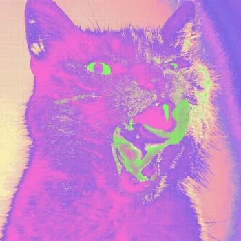 Teenager - Good Time Vinyl