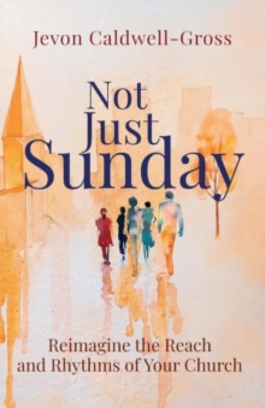 Not Just Sunday Paperback / softback