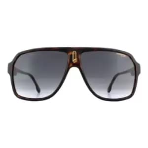 Carrera Aviator Dark Havana Blue Gradient Sunglasses