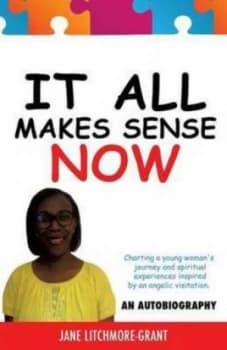 It All Makes Sense Now by Jane Litchmore-Grant Paperback