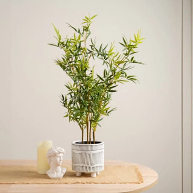 Scottish Everlastings Ltd. Scottish Everlastings Artificial 75Cm Mini-Leaf Bamboo Tree