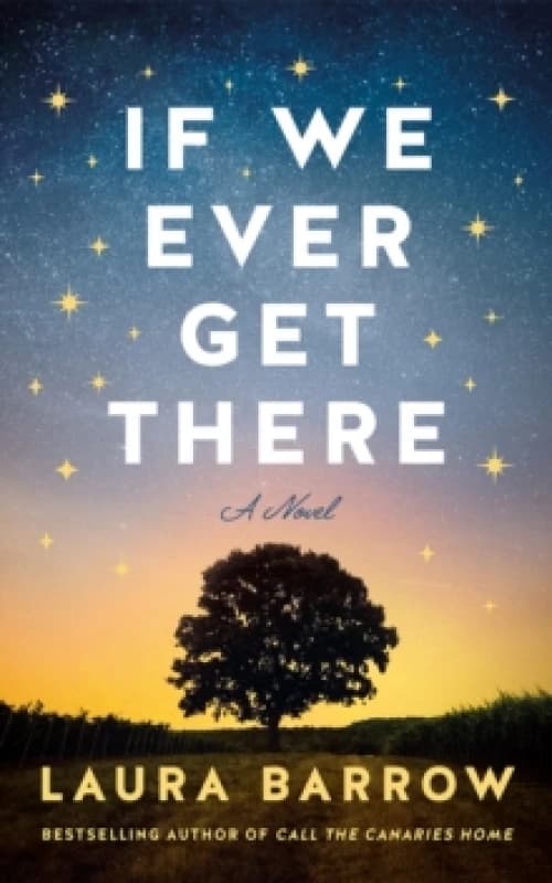 If We Ever Get There : A Novel Paperback / softback