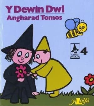 Y Dewin Dwl by Angharad Tomos Book