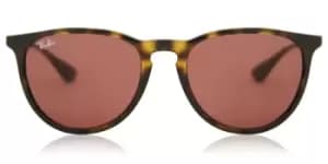 Ray-Ban Sunglasses RB4171 Erika 639175