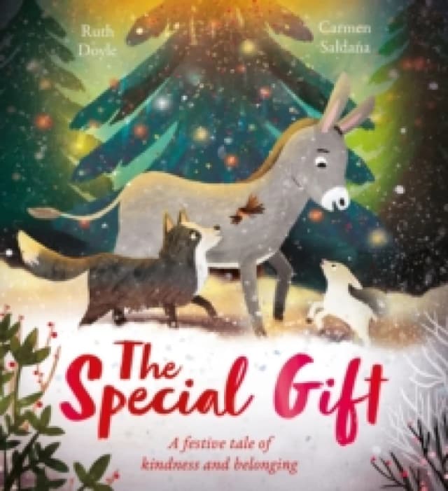 The Special Gift : a beautiful festive story to share at Christmastime Paperback / softback
