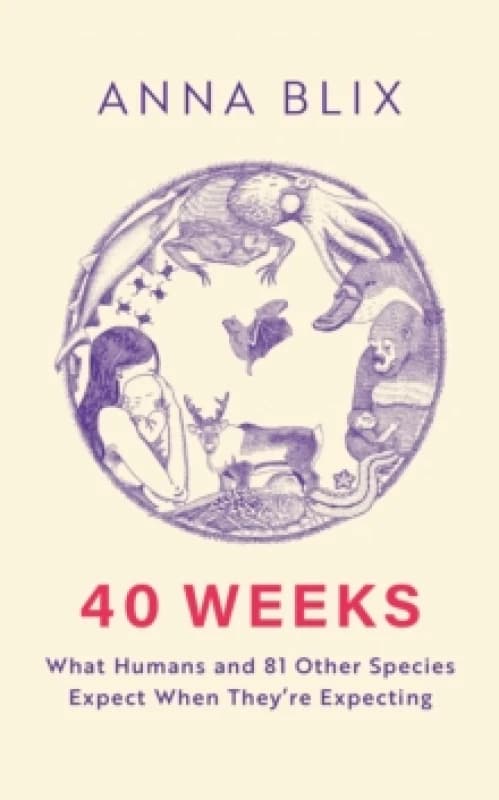 40 Weeks : What Humans and 81 Other Species Expect When They're Expecting Hardback