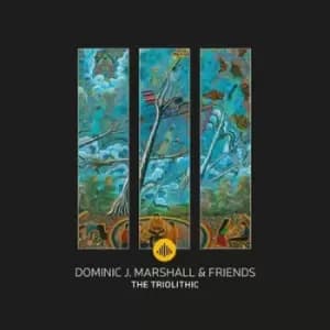 The Triolithic by Dominic J. Marshall & Friends CD Album