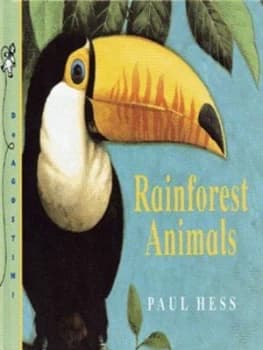 Rainforest Animals by Paul Hess Hardback