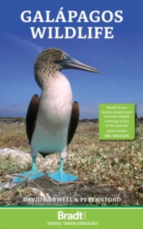 Galapagos Wildlife Paperback / softback