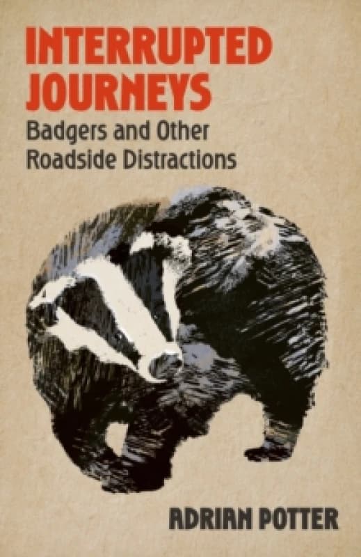Interrupted Journeys : Badgers and Other Roadside Distractions Hardback