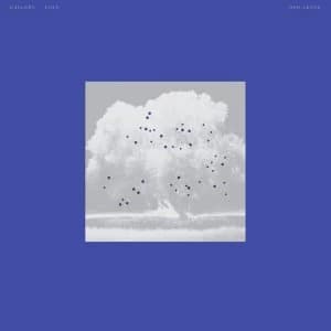 Oso Leone - Gallery Love Vinyl