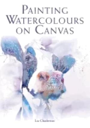 painting watercolours on canvas