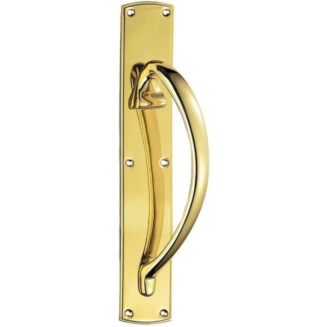 Loops Right Handed Curved Door Pull Handle 457 x 75mm Backplate Polished Brass Metallics unisex