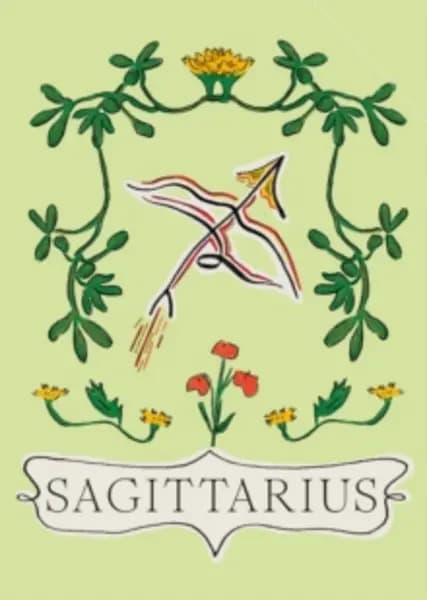 sagittarius harness the power of the zodiac 9781784882693