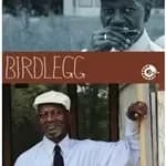 Birdlegg - Birdlegg (Music CD)