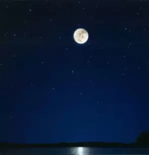 Moons Milk in Final Phase by Electric Sewer Age CD Album