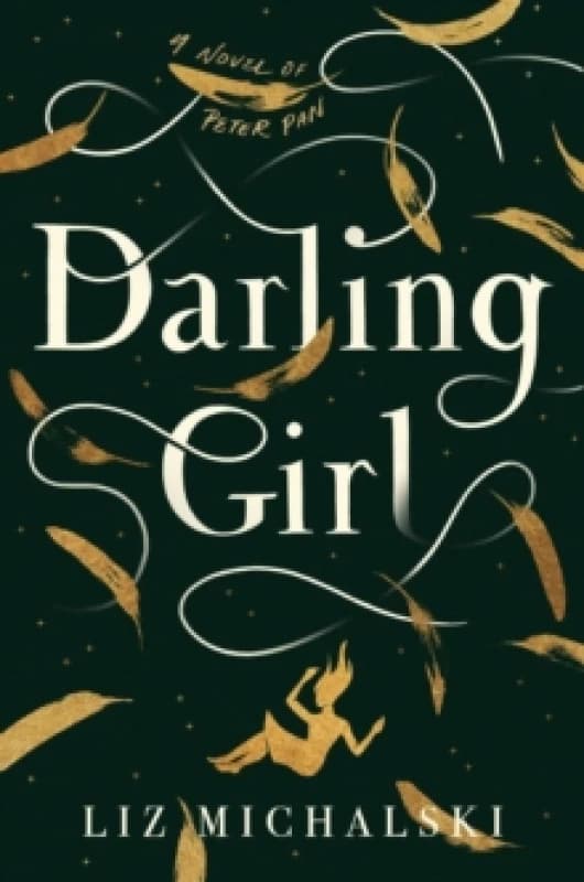 Darling Girl. Hardback. By Liz Michalski Books