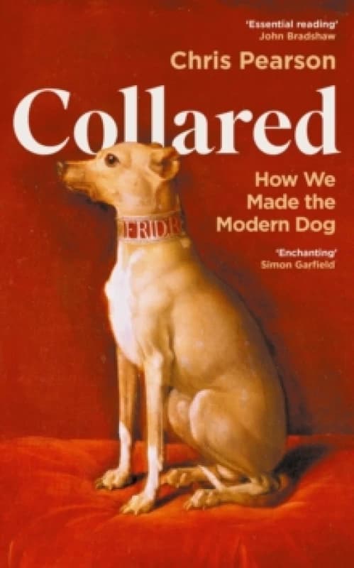 Collared : How We Made the Modern Dog Hardback