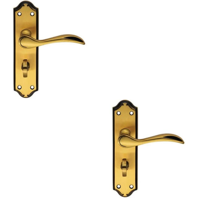 Loops 2x PAIR Curved Door Handle Lever on Bathroom Backplate 180 x 45mm Brushed Bronze Multi