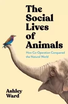 The Social Lives of Animals : How Co-Operation Conquered the Natural World