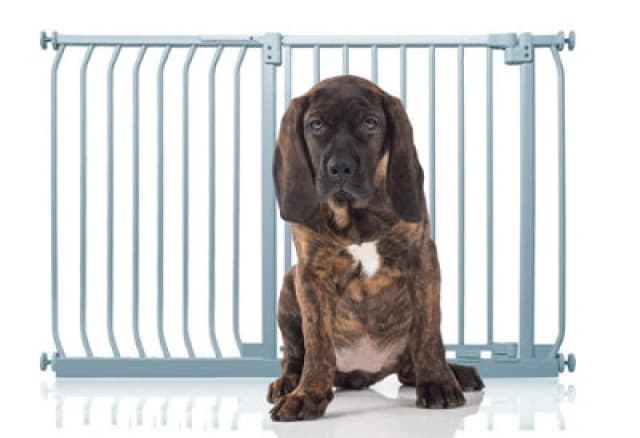 Bettacare Elite Pressure Dog Gate, 125Cm - 134Cm, Matt Grey, Pressure Fit Pet Gate For Dog And Puppy