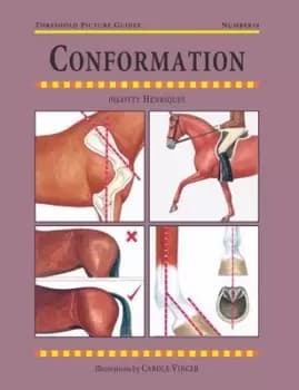 Conformation - Pegotty Henriques - Paperback - Used