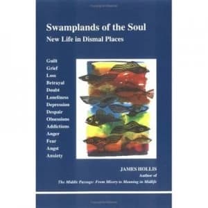 Swamplands of the Soul by James Hollis Book