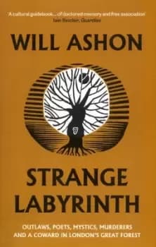 Strange labyrinth by Will Ashon