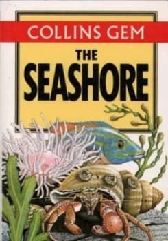 The Seashore by Rosalind Fitter and Susanna Ray Paperback