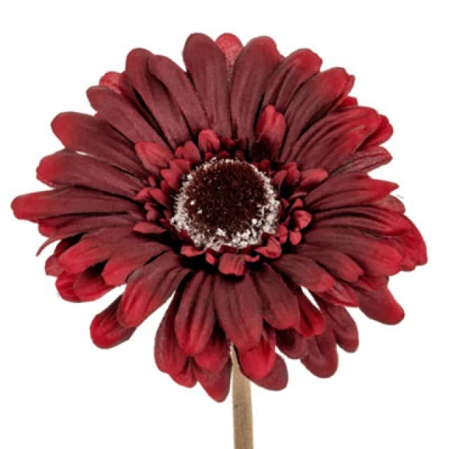 Hill Interiors Soft Gerbera Gerbera Artificial Flower Burgundy (One Size)