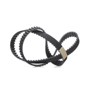 RIDEX V-ribbed belt 305P0008 Serpentine belt,Auxiliary belt BMW,OPEL,FIAT,5 Limousine (E39),5 Touring (E39),3 Limousine (E36),7 (E38)