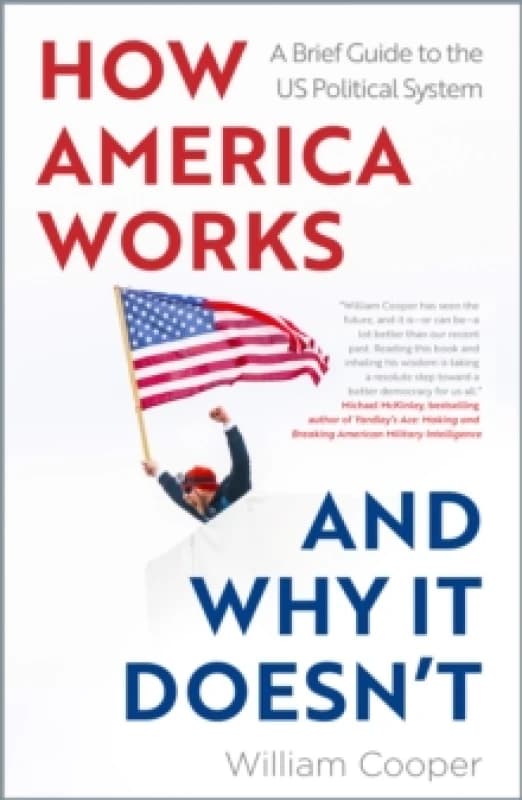 How America Works ... and Why It Doesnt : A Brief Guide to the US Political System Paperback / softback