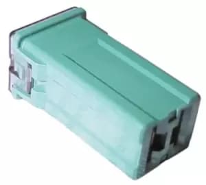 Fuse - J Type Slow Blow - Green - 40A PWN804 WOT-NOTS