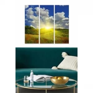 MDF97335824 Multicolor Decorative MDF Painting (3 Pieces)