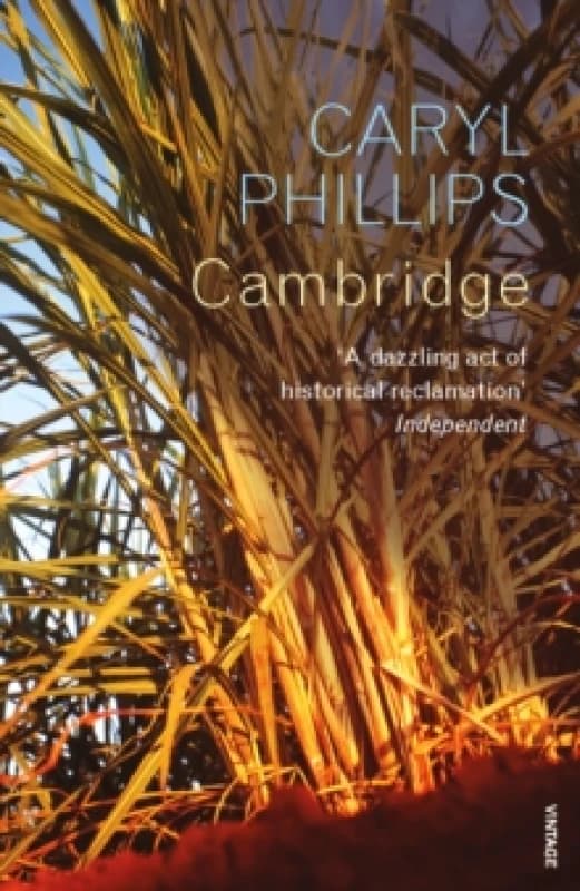 Cambridge. Paperback. By Caryl Phillips Books