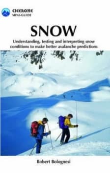 Snow by Robert Bolognesi Paperback