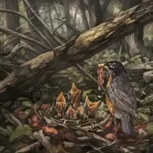 The Acacia Strain Step into the light CD multicolor