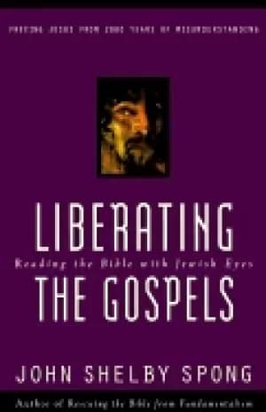 liberating the gospels reading the bible with jewish eyes