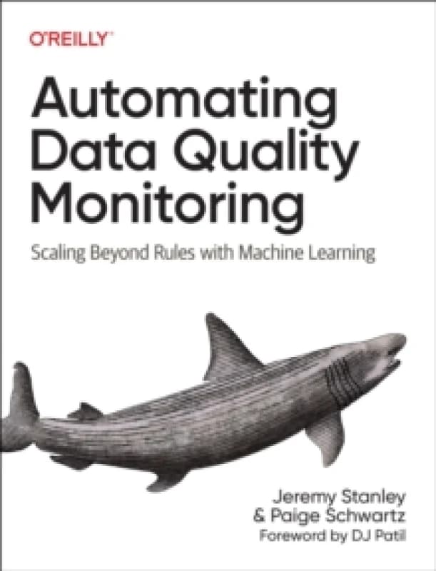 Automating Data Quality Monitoring at Scale : Scaling Beyond Rules with Machine Learning Paperback / softback