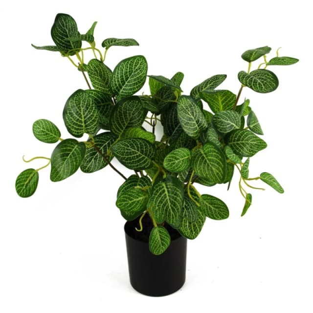 Unbranded 40cm Variegated Pothos Plant: Lifelike, Quality, Elegant Indoor Decor