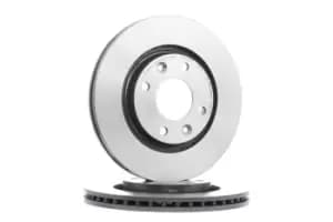 PAIR PAINTED BREMBO BRAKE DISCS 09.8695.11