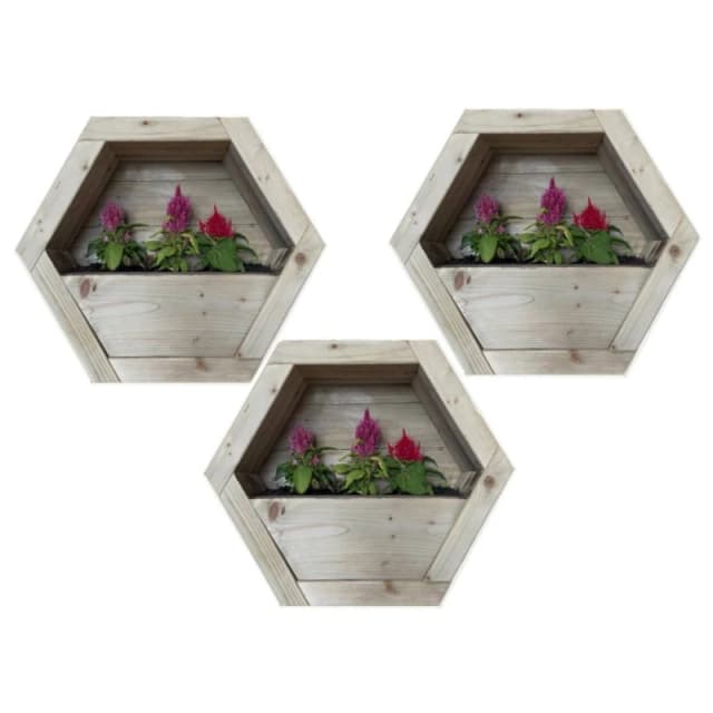 Buttercup Farm Large Hanging Wooden Hexagon Wall Planter (Set of 3) in Light Brown Light Brown Unisex