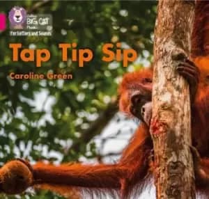 Tap Tip Sip by Caroline Green