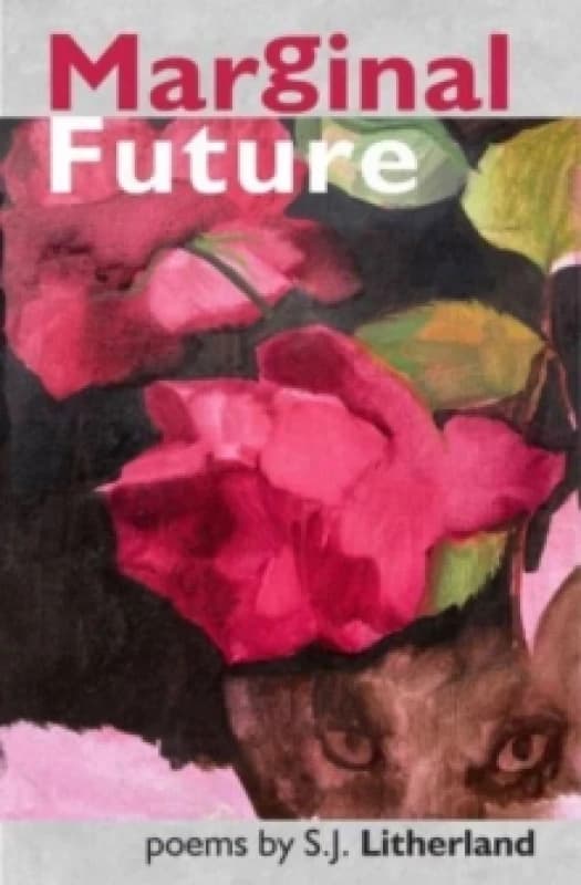 Marginal Future Paperback / softback