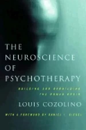 neuroscience of psychotherapy building and rebuilding the human brain