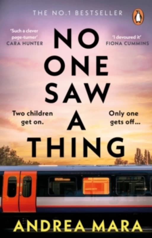 No One Saw a Thing Paperback / softback