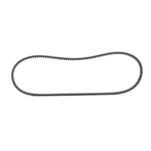 RIDEX V Belt 10C0031 Fenner Belt VW,AUDI,BMW,Transporter IV Bus (70B, 70C, 7DB, 7DK, 70J, 70K, 7DC, 7DJ),GOLF II (19E, 1G1),PASSAT Variant (3A5, 35I)