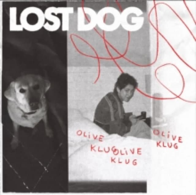 Lost Dog CD / Album
