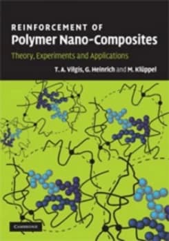 Reinforcement of Polymer Nano-Composites by T. A. Vilgis Hardback