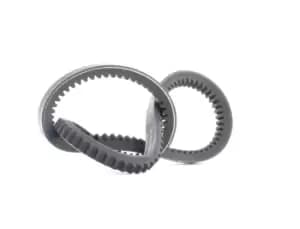 Bosch V Belt MERCEDES-BENZ,RENAULT,FIAT 1 987 947 648 60805196,60806474,7629235 Fenner Belt 7651549,7655544,2521342100,2521542000,5718143000,4827114